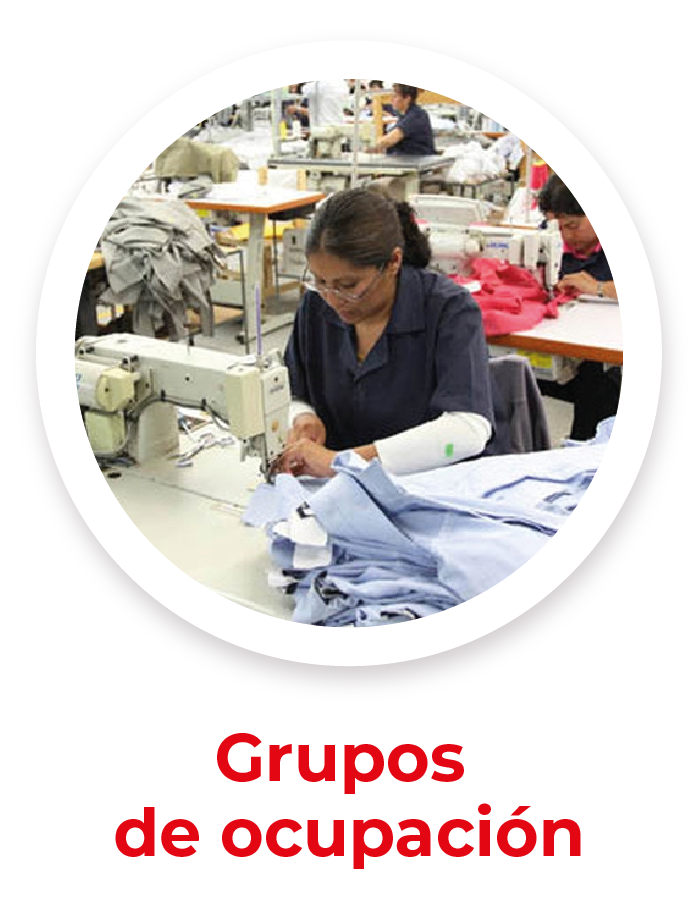 Grupos de Ocupación