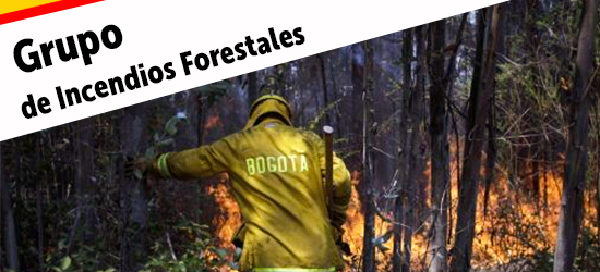INCENDIOS FORESTALES