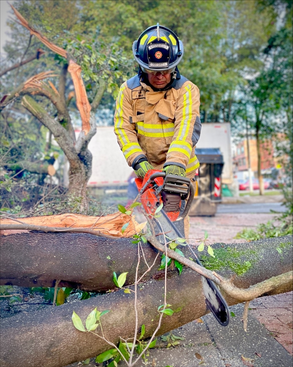Bombero cortando un árbol con una motosierra