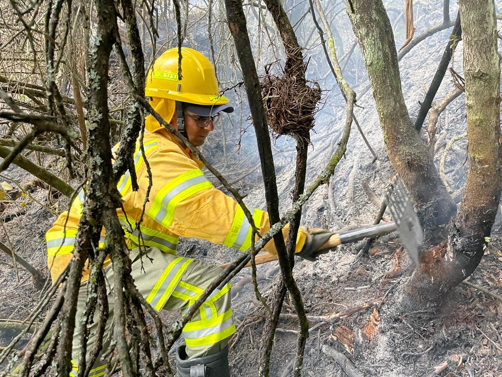 Bombero controla un incendio forestal