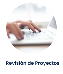 Revisión de Proyectos