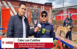 Desde las instalaciones del Grupo Especializado de Búsqueda y Rescate de Animales en Emergencia llega una nueva emisión del informativo #BomberosHoy