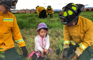 ¿Quieres ayudar a proteger el medio ambiente? Acá te enseñamos cómo