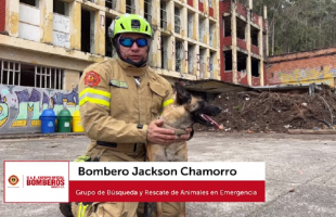 Nueva emisión de nuestro informativo #BomberosHoy